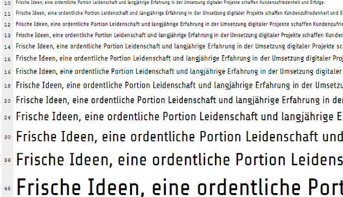 Google Webfont Einbindung vorher (unscharf, krisselig und verpixelt)