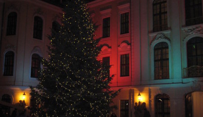 Edel, edel: Unsere Weihnachtsfeier im Kurländer Palais mit Miss Sophie