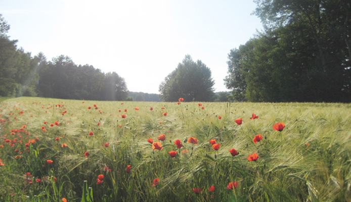 Traditionelles DTELE Outdoor-Abenteuer